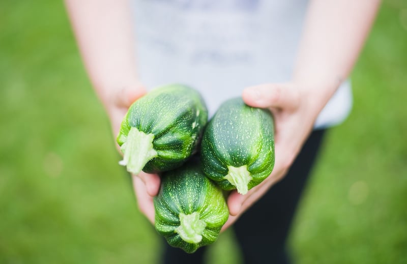 Zucchini Noodles